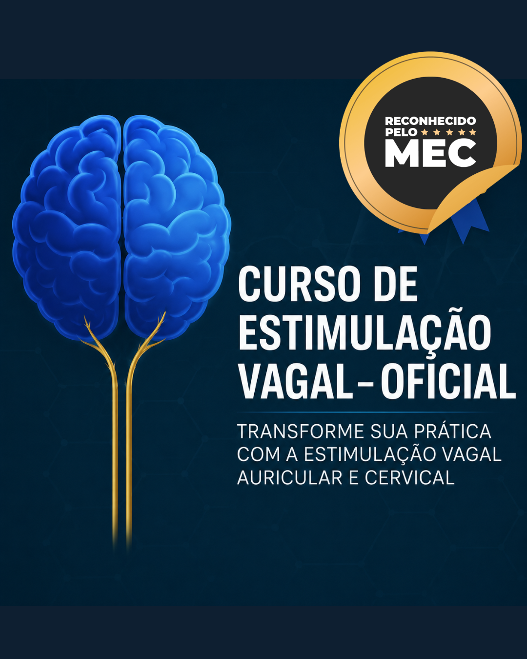Logo Formação Avançada em Estimulação Vagal